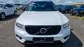 Volvo XC40 R Design AWD R-Design 1.Hand Pano Kamera Weiß - thumbnail 2