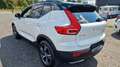 Volvo XC40 R Design AWD R-Design 1.Hand Pano Kamera Weiß - thumbnail 5