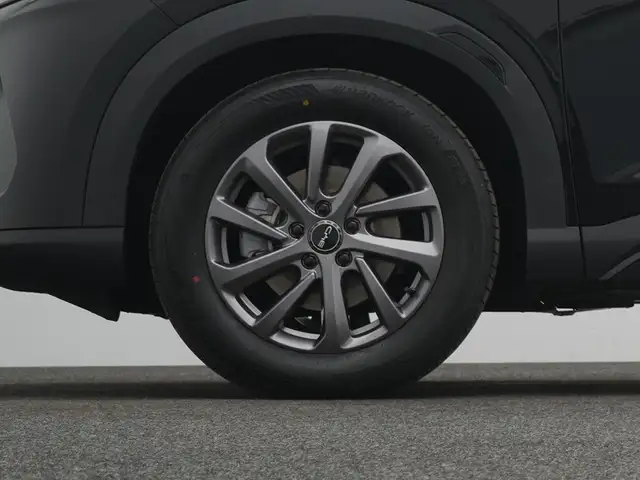 Byd Atto 2 view 10