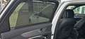 Audi A6 allroad 50 TDI Quattro *360-Cam*LUFT*LED*ACC*HUD*PDC*SOFT* Weiß - thumbnail 14