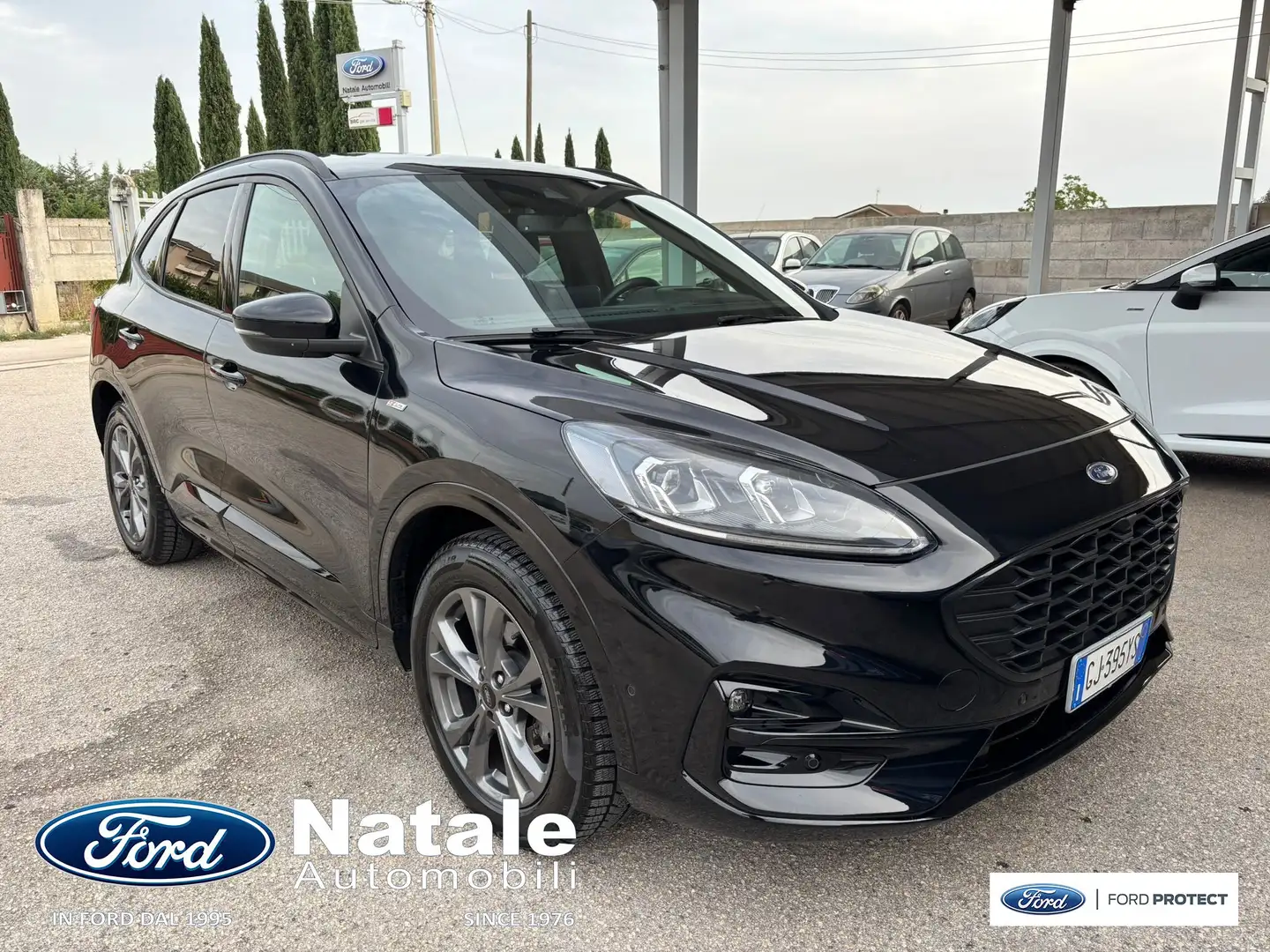 Ford Kuga Kuga 2.0 ecoblue ST-Line X awd 150cv auto Nero - 1