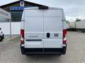 Fiat Ducato KASTENWAGEN 33 L2H2 140 MT Blanco - thumbnail 6