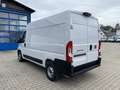 Fiat Ducato KASTENWAGEN 33 L2H2 140 MT Blanco - thumbnail 10