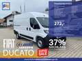 Fiat Ducato KASTENWAGEN 33 L2H2 140 MT Blanco - thumbnail 1