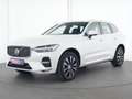Volvo XC60 Inscription ACC|Park Assist Pilot|LED|Navi Weiß - thumbnail 2