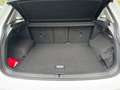 Volkswagen Tiguan 2,0 TSI DSG 4motion Highline R-Line Weiß - thumbnail 11