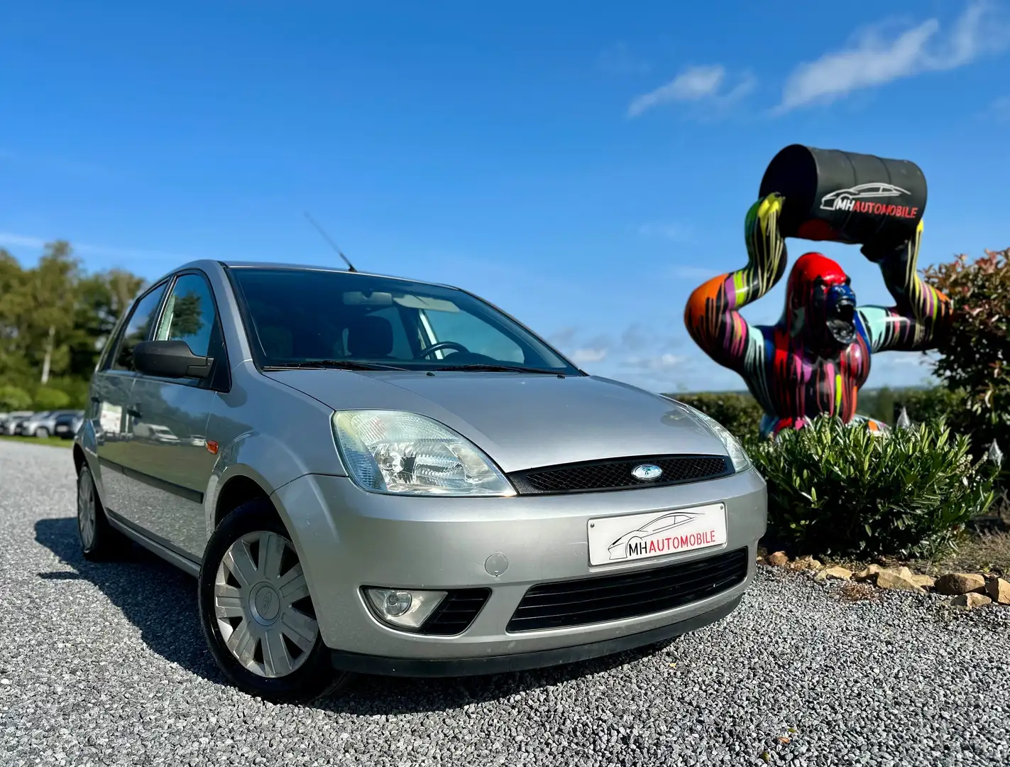 Ford Fiesta Fiesta 1.4 Turbo TDCi Trend Grijs - 1