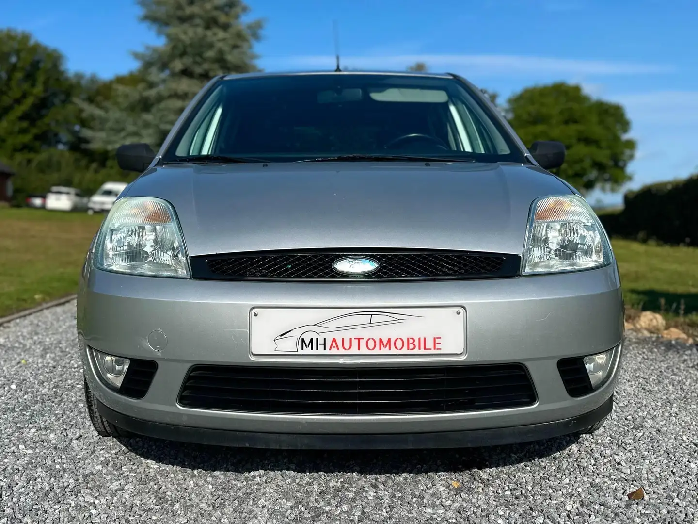 Ford Fiesta Fiesta 1.4 Turbo TDCi Trend Grijs - 2
