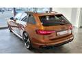 Audi RS4 Avant Ipanema/Comp.plus/Matrix/Pano/290/RS-Aga/B&O smeđa - thumbnail 6