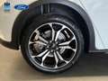 Ford Focus 1.0 Ecoboost MHEV Active 125 Blanco - thumbnail 15