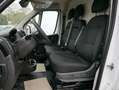 Fiat Ducato L5H2(6363 mm)H2(2522 mm) *3-SITZER*RÜCKFAHRKAME... Weiß - thumbnail 12