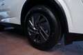 Nissan Qashqai 1.3 mhev Acenta 2wd 140cv Bianco - thumbnail 14