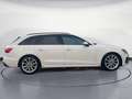 Audi A4 35 TDI S tronic S line Weiß - thumbnail 6