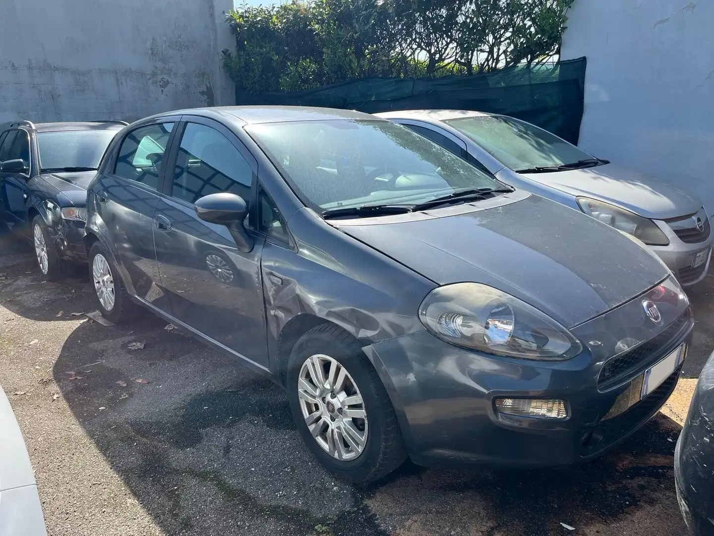 Fiat Punto Evo 5p 1.2 Dynamic *PRONTA CONSEGNA* Grau - 1