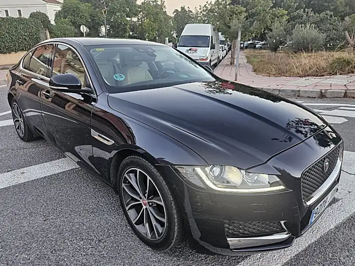 Jaguar XF 2016, foto 19