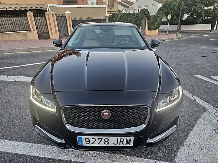 Jaguar XF 2016, foto 22