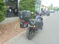 Triumph Tiger 900 GT PRO Чорний - thumbnail 3
