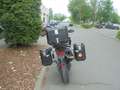 Triumph Tiger 900 GT PRO Чорний - thumbnail 4