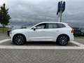 Volvo XC60 T8 Twin Engine AWD Inscription | Luchtvering | Sto Weiß - thumbnail 3