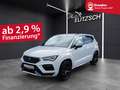 CUPRA Ateca TSI DSG 4Drive LED AHK Navi AID ACC RFK Beats 19" Weiß - thumbnail 1