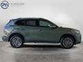 Volkswagen Tiguan Friends eHybrid DSG 150 kW Grün - thumbnail 6