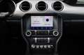 Ford Mustang 5.0 V8 GT/TOTW/SPUR/SHZ/SBL/TEMP/BTH/R19 Blauw - thumbnail 14