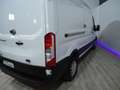 Ford Transit FT 350 L3 Chasis Trend 130 Weiß - thumbnail 6