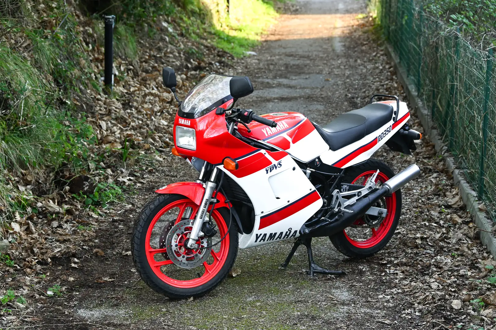 Yamaha RD 350 Blanco - 1