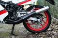 Yamaha RD 350 Blanco - thumbnail 12