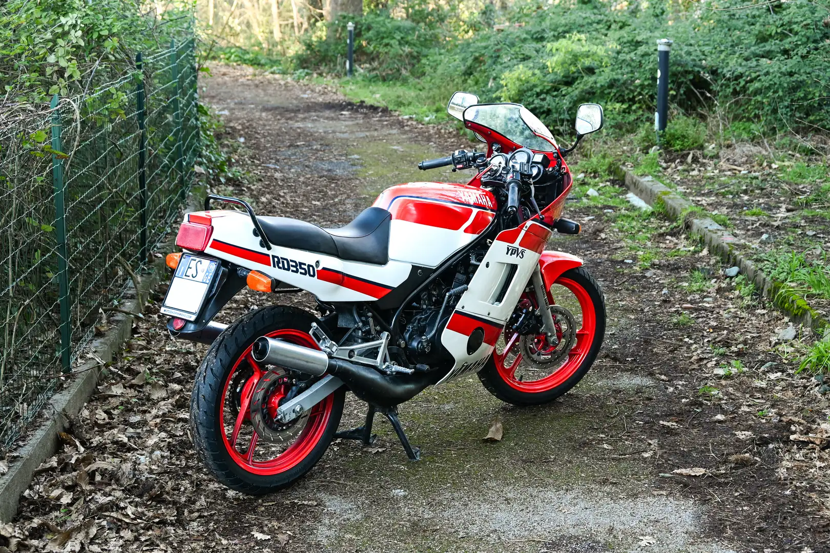 Yamaha RD 350 Blanco - 2