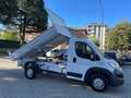 Fiat Ducato MAXI 35 2.3 MJT 130CV  ***CASSONE RIBALTABILE Bianco - thumbnail 5