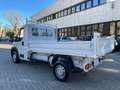 Fiat Ducato MAXI 35 2.3 MJT 130CV  ***CASSONE RIBALTABILE Bianco - thumbnail 8