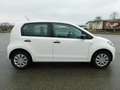 Skoda Citigo Citigo 5-Türer 1.0 MPI Green tec Active Weiß - thumbnail 19