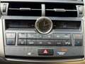 Lexus NX 300 300h Corporate 2WD Gris - thumbnail 13
