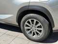 Lexus NX 300 300h Corporate 2WD Gris - thumbnail 23