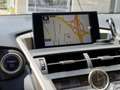 Lexus NX 300 300h Corporate 2WD Gris - thumbnail 16
