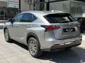 Lexus NX 300 300h Corporate 2WD Gris - thumbnail 4