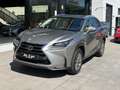 Lexus NX 300 300h Corporate 2WD Gris - thumbnail 3