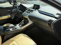 Lexus NX 300 300h Corporate 2WD Gris - thumbnail 17