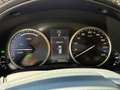 Lexus NX 300 300h Corporate 2WD Gris - thumbnail 11