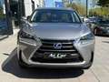 Lexus NX 300 300h Corporate 2WD Gris - thumbnail 2