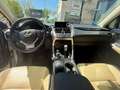 Lexus NX 300 300h Corporate 2WD Gris - thumbnail 6