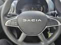 Dacia Spring EXPRESSION 45 NAVI|KAMERA Grün - thumbnail 13
