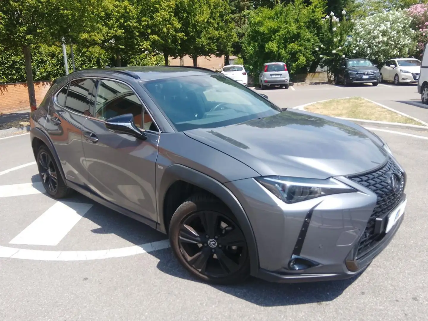 Lexus UX 250h UX Hybrid F Gris - 1