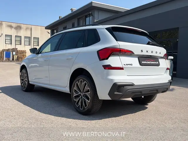 Skoda Kamiq view 8