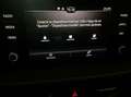 Skoda Fabia 1.0 TSI 110CV Ambition DSG Blanco - thumbnail 17