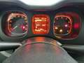 Fiat Panda 1.0 FireFly S&S Hybrid Bianco - thumbnail 4