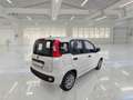 Fiat Panda 1.0 FireFly S&S Hybrid Bianco - thumbnail 3