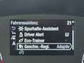 Ford Tourneo Custom Sport 2.0l *ACC*AHK*Automatik*Kam Grau - thumbnail 30