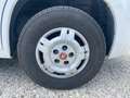 Fiat Ducato 35 2.3 d MJT 130CV WEINSBERG CaraSuite Camper Bianco - thumbnail 12